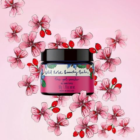 ニールズヤード❤エッセンシャルオイル❤ローズマリー❤ゼラニウム❤精油 楽天市場】ニールズヤード アロマボックス精油3種 ローズマリー