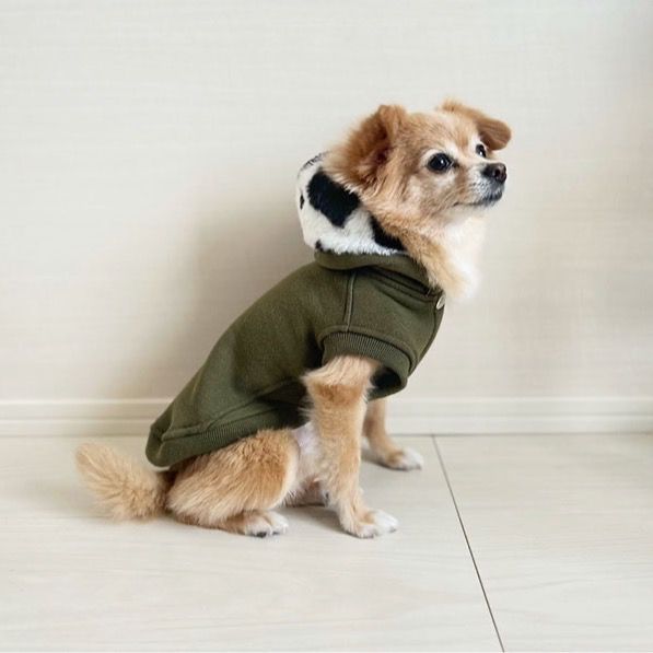 カニスルプス | LINE Official Account