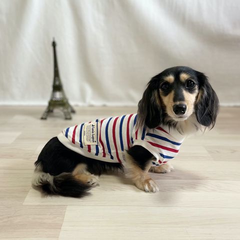 カニスルプス | LINE Official Account