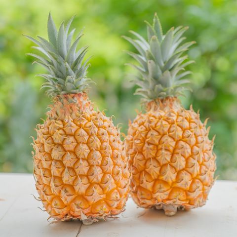 スズムシパイナップル スズムシパイナップル パイナップル - Search / X