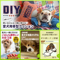 ワンコ　プロフィール確認要❣️ WanQol（わんクォール） | LINE Official Account