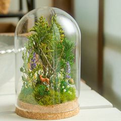 こけむすび 苔テラリウム販売・ワークショップ | 苔むすび