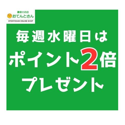 おてんとさん公式オンラインショップ | LINE Official Account
