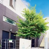 ファイナンシャルアカデミー　株式投資の学校 株式投資の学校 Financial Academy ファイナンシャルアカデミー