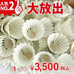 頑張らないバドミントン研究会 | LINE Official Account