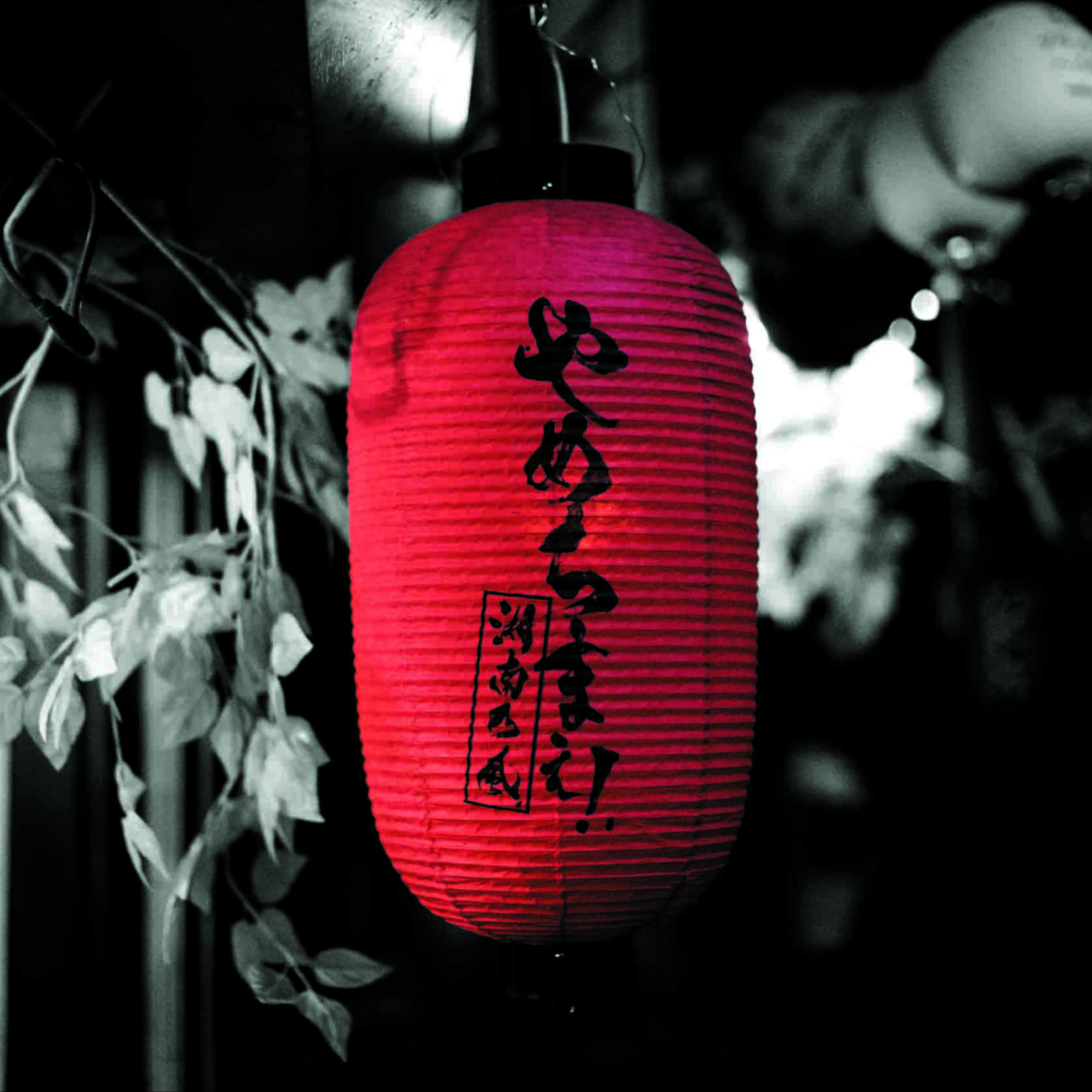 DISCOGRAPHY | 湘南乃風 | LINE Official Account