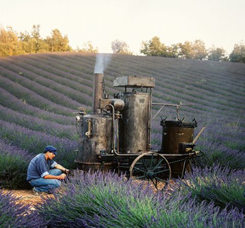 mshigeo1962ロクシタン mshigeo1962ロクシタン ロクシタン | L'OCCITANE 公式オンライン