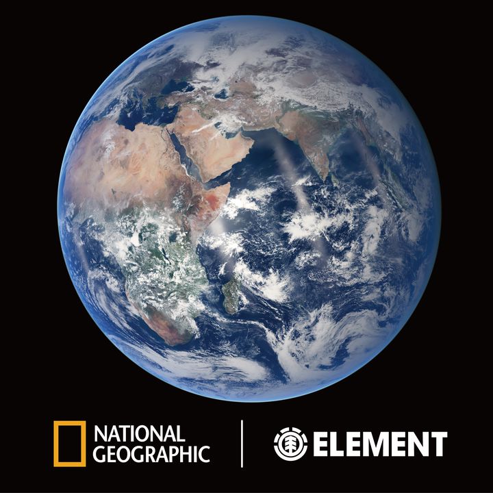 Element | LINE Official Account