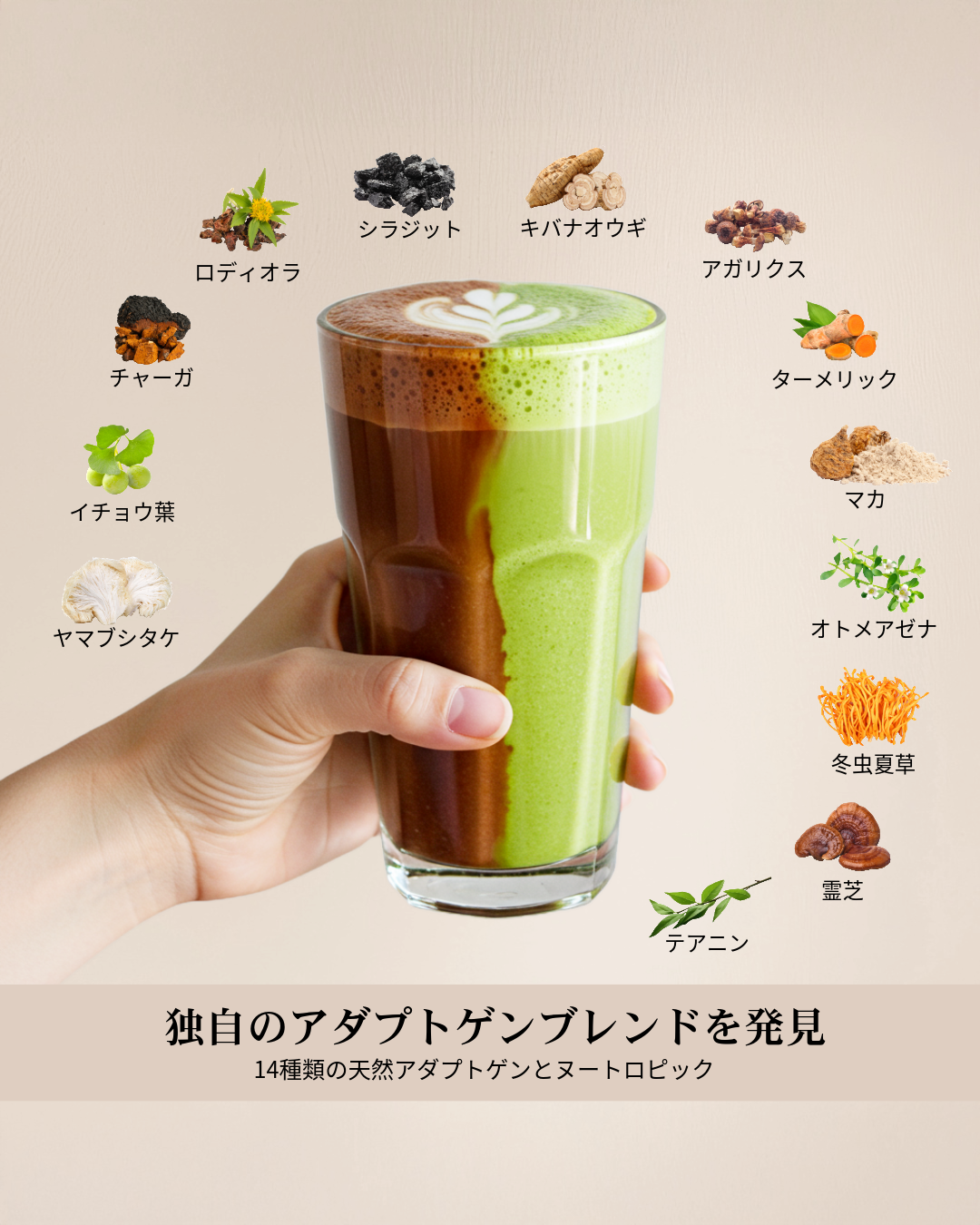 AdaptolatteJP | LINE Official Account