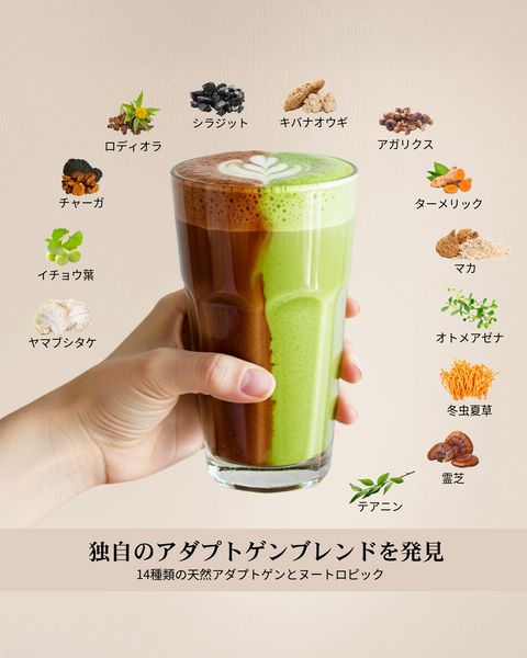 AdaptolatteJP | LINE Official Account