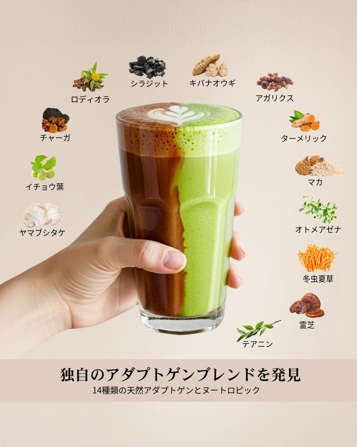 アダプトラテ専用☆ AdaptolatteJP | LINE Official Account