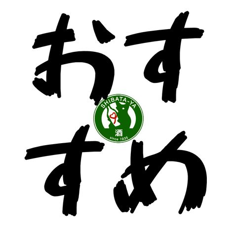 柴田様専用 アーメイル柴田様専用【極美品】Apple Magic Mouse