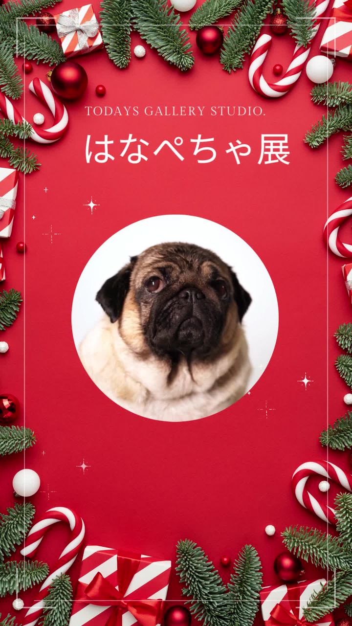 Pug shower | LINE Official Account