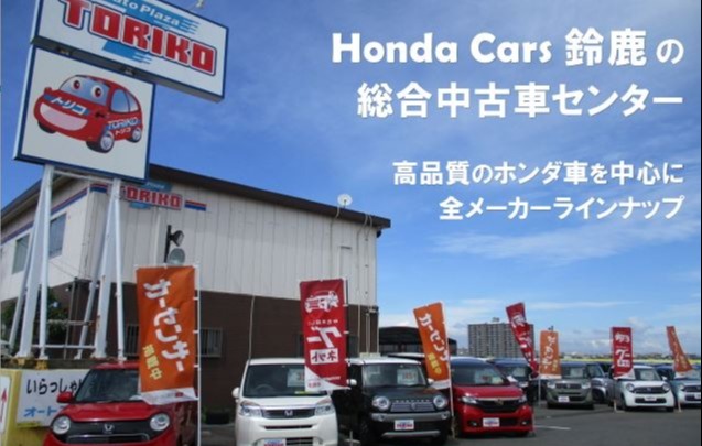【中古】 コーカサスのとりこ 一点物 Co ショートノーズ ルイーザ WILD No.06 | コリドラス,一点物