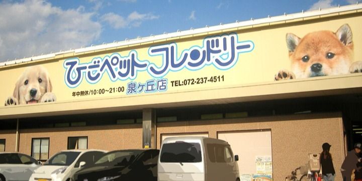 ひごペット 堺 人気 猫 療法食