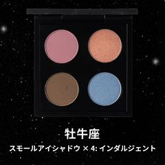 ガーベラ MAC アストロパレット&ファーストクラスアイパレット 2点