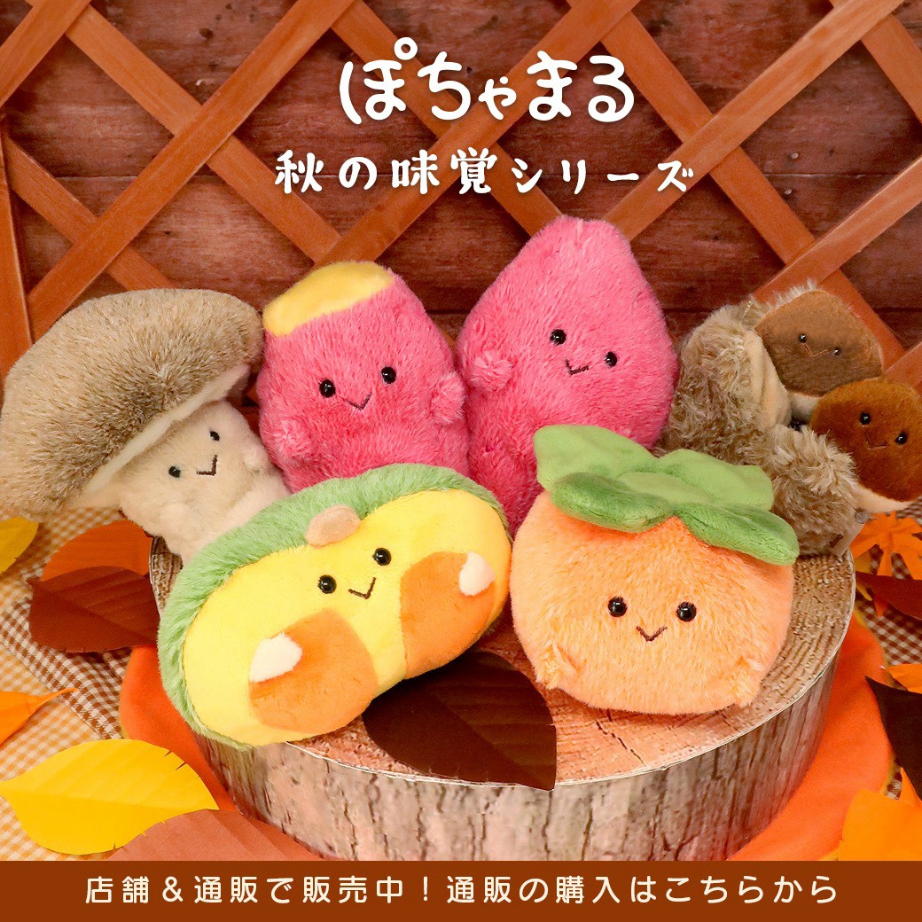 公式】nipopo（にぽぽ） | LINE Official Account