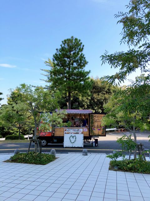 金城学院大学 (2007年版 大学入試シリーズ) 強く、優しく。金城学院大学
