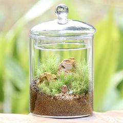 苔むすび | LINE Official Account