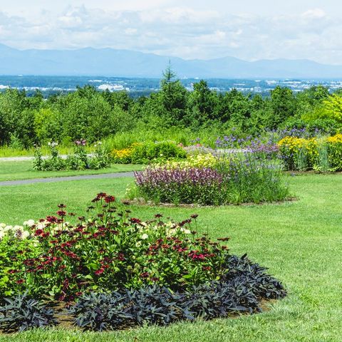 Garden | 十勝ヒルズ | LINE Official Account