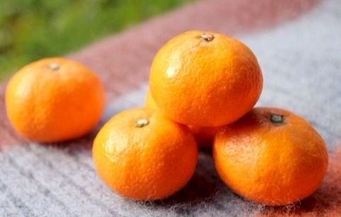 こばみかん! | LINE Official Account