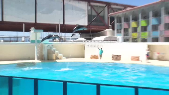 伊豆・三津シーパラダイス | LINE Official Account