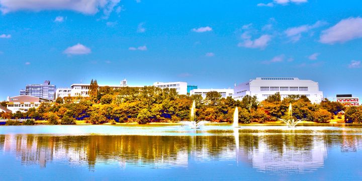 至学館大学・至学館大学短期大学部 (2019年版大学入試シリーズ