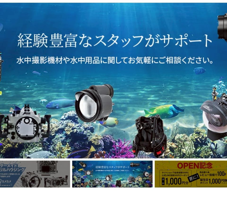 カメカメCAMERA | LINE Official Account