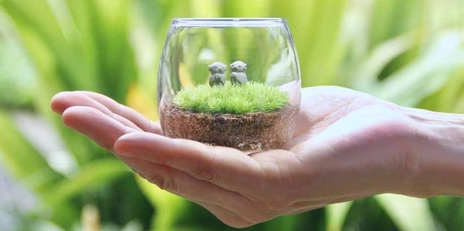こけむすび 苔テラリウム販売・ワークショップ | 苔むすび