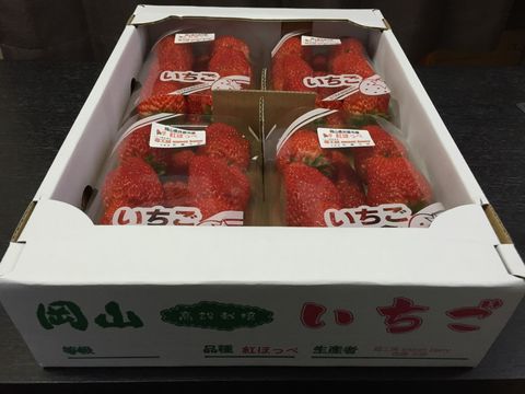 苺工房 sweet berry | LINE Official Account