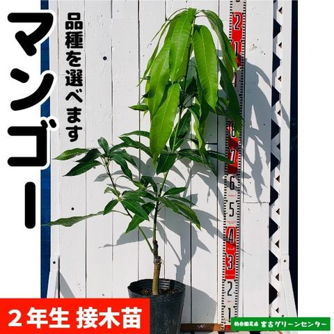 極美品☆インテリア卓上噴水 玄関 贈り物 お家/事務所 茶室 32 極美品☆インテリア卓上噴水 玄関 贈り物 お家/事務所 茶室 32