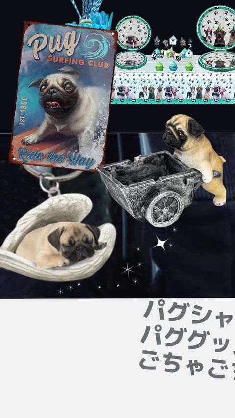 Pug shower | LINE Official Account