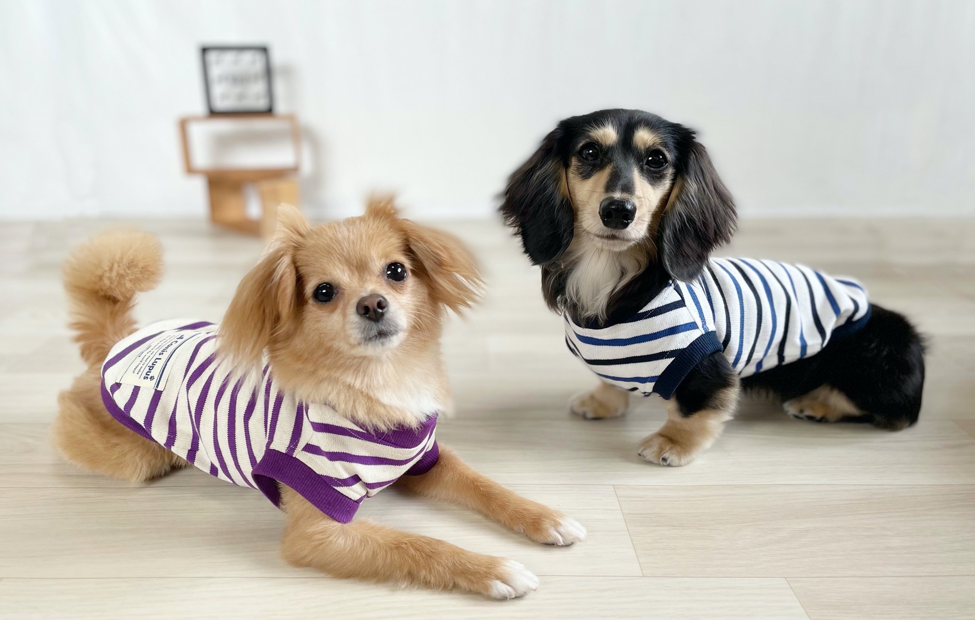 0hgyJ2AjQ4OFZ3Sysr1wFHAScUNidE