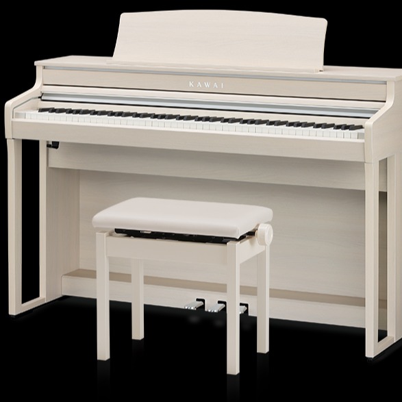 新潟市引き取り　KAWAI CN24 デジタルピアノ cn24-r.jpg