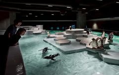 AOAO SAPPORO | LINE Official Account