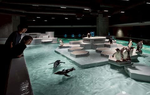 aoao様ご確認ページ AOAO SAPPORO | LINE Official Account