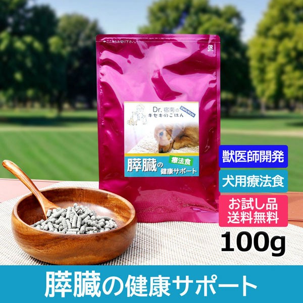 笹田有祥 摸 富士茄子茶入 大名物 仕覆 剣先緞子 御簾手モール 共箱 栞
