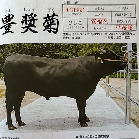 弊社の種雄牛たちの紹介 | 株式会社 萩原人工授精所 | LINE