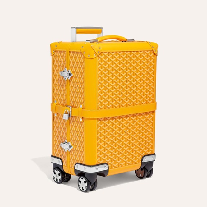 レア　廃番　ライン　マーカージュ　最大入り❣️GOYARD  ペット　キャリー レア 廃番 マーカージュ最大入り❣️ 大変お得❣️GOYARD ペット