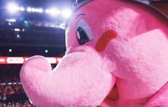 ジャンボくん（千葉ジェッツ） | LINE Official Account