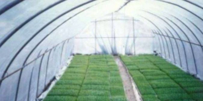 苗ご相談ページ 有)兵藤種苗商事 | LINE Official Account