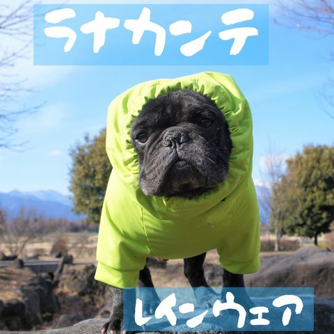犬服の店 伝七商店 | LINE Official Account