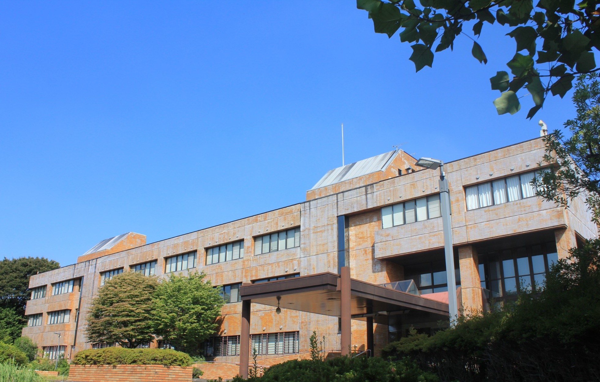大学入学共通テスト 本番模試 化学 | 旺文社 |本 | 通販 | Amazon