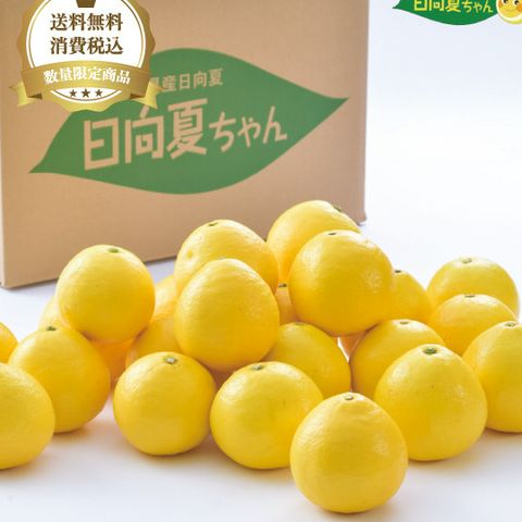 JAみやざき 園芸販売部 | LINE Official Account