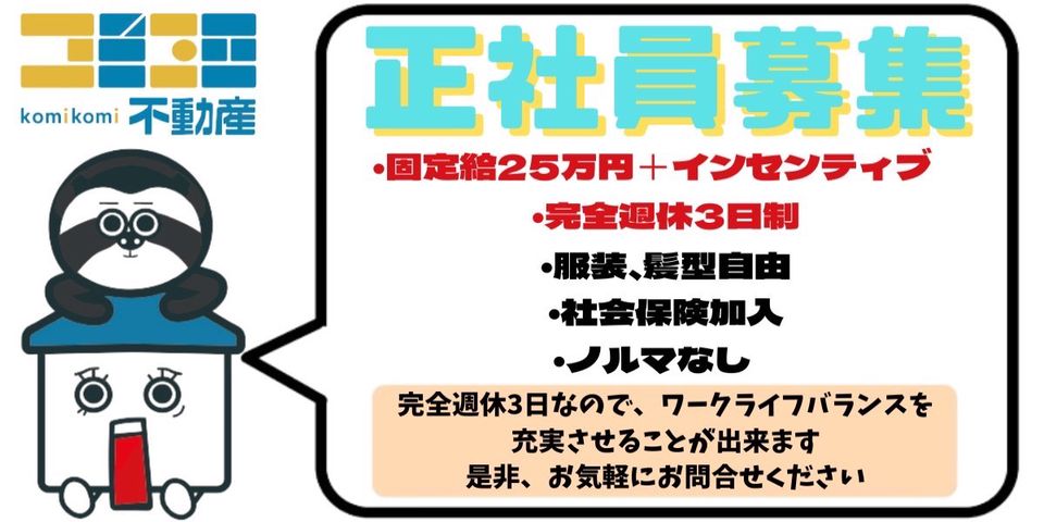 ［入手困難］REPUDILIATION ※商品説明必読 Amazon を騙ったフィッシング詐欺に注意-4 | E Flat B倉庫 Blog
