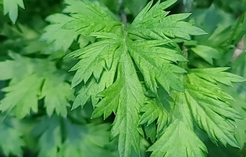 和温薬湯　2袋 Amazon | nu 薬日本堂 和漢薬湯 30g×4包 入浴剤 医薬部外品 生薬
