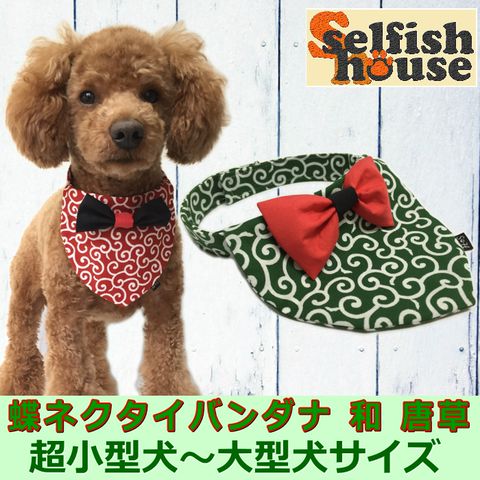 こりん  ꒡̈⃝Lily꒡̈⃝犬服ハンドメイド 犬 ハロウィン ボンボンチョーカー ハンドメイド ハロウィーン